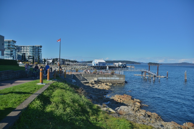 The Sidney harbor